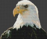 (image for) Regal Bald Eagle